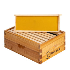 BeeCastle eight cedar frames with wax foundations ready for bees
