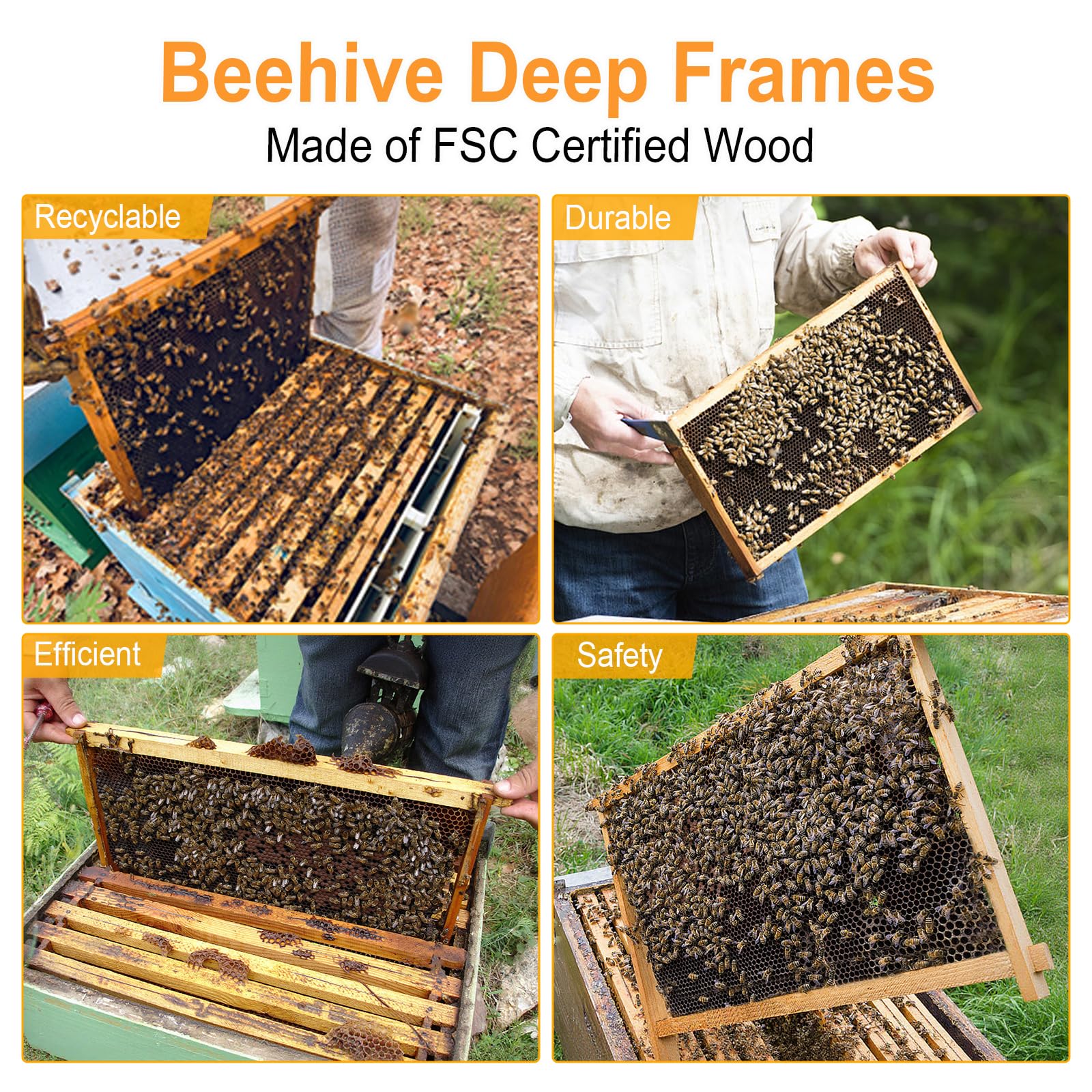 BeeCastle frames being fitted into an outdoor hive demonstrating easy installation