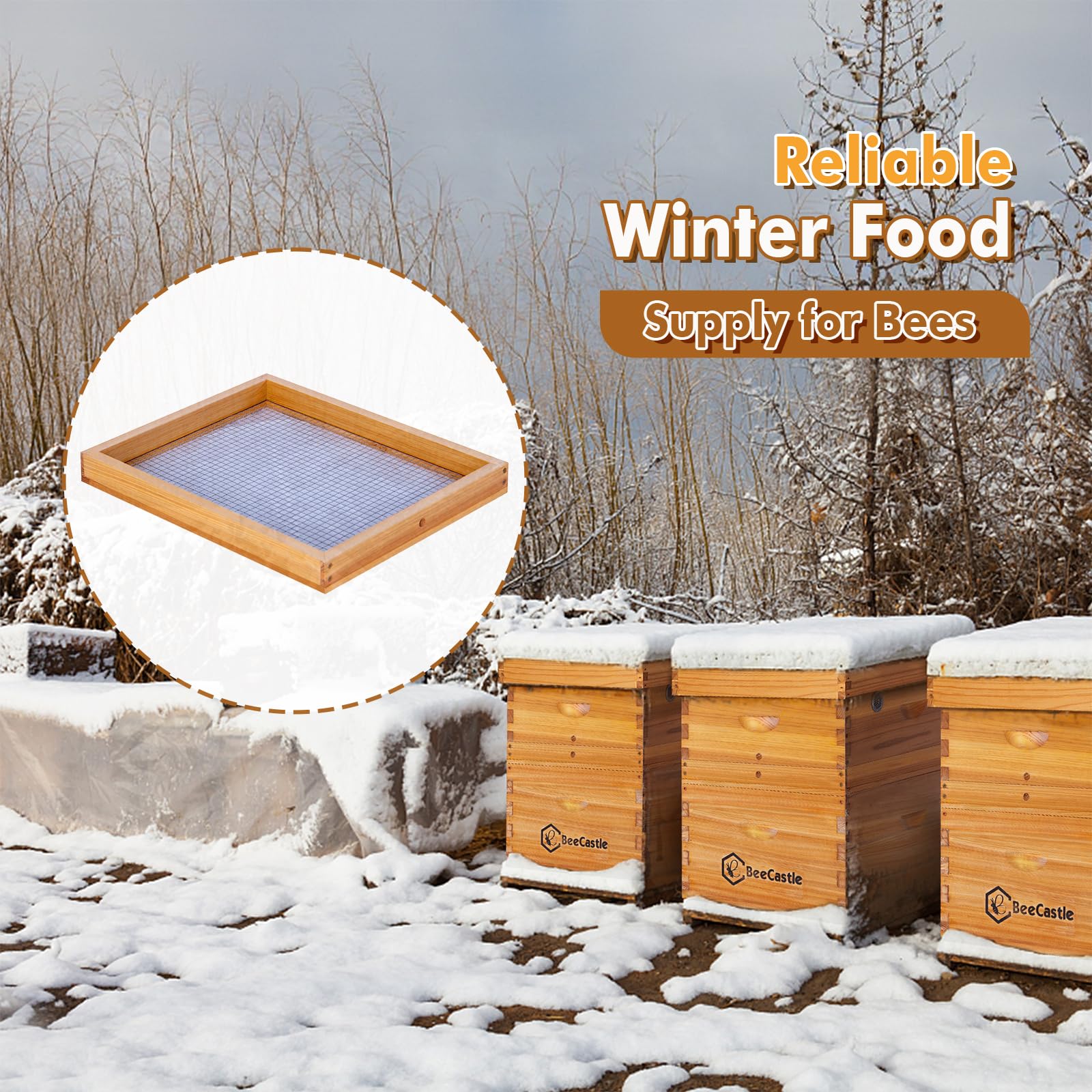 BeeCastle lifestyle outdoor beekeeper setting illustrating practical use