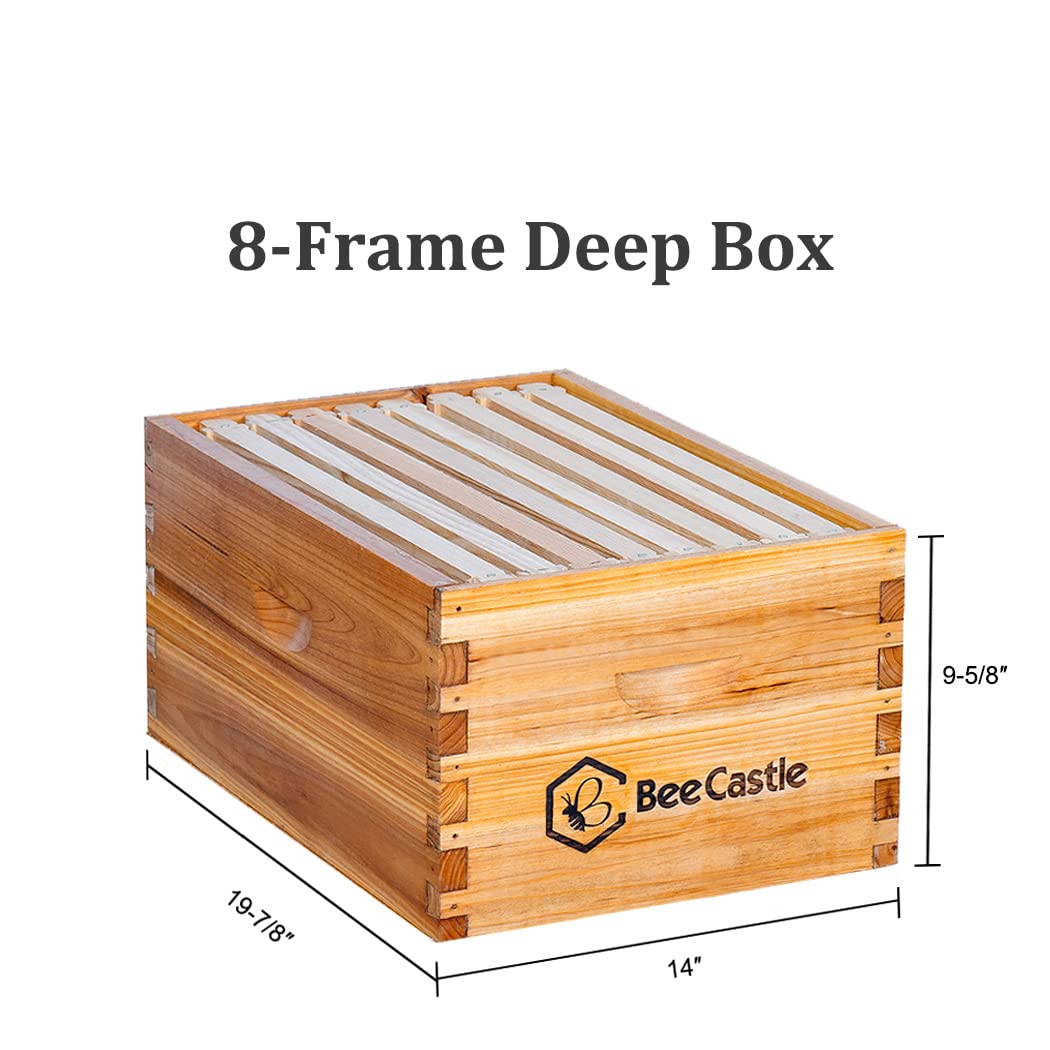 BeeCastle metal top and inner cover displayed for secure protection and ventilation