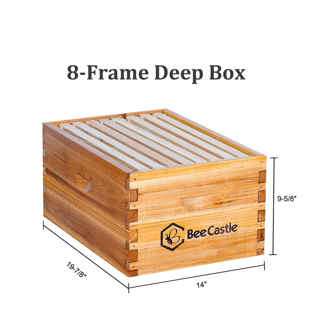 BeeCastle metal top and inner cover displayed for secure protection and ventilation