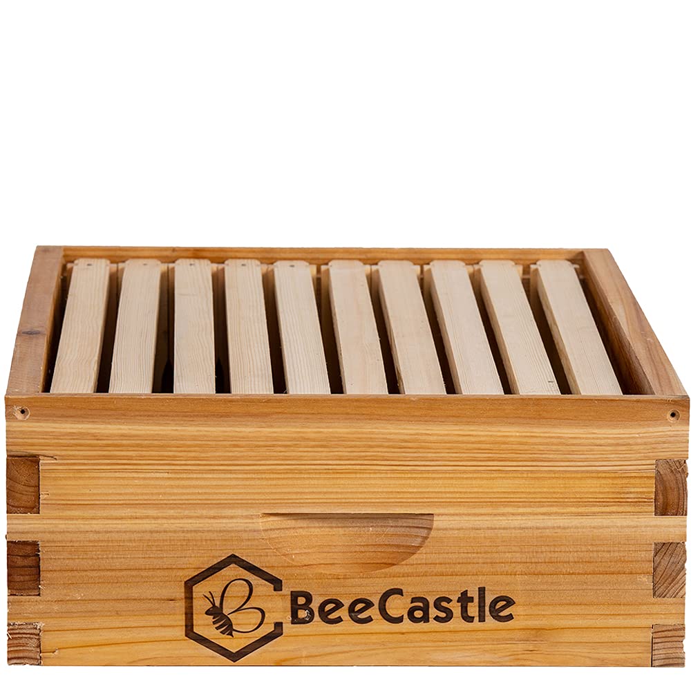 BeeCastle medium super next to brood box showing size and easy apiary integration
