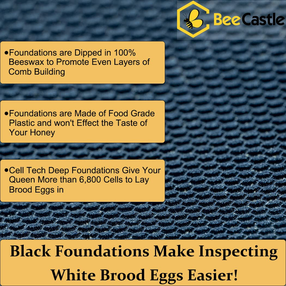 BeeCastle brood box next to a tape measure showing scale and exact dimensions