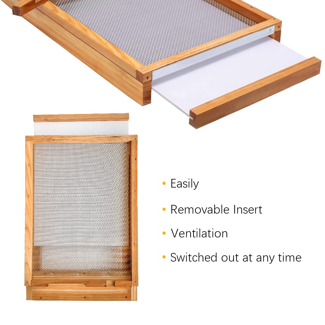 BeeCastle bottom board beside ruler for scale, confirms 14×22×2-9/16 inch fit