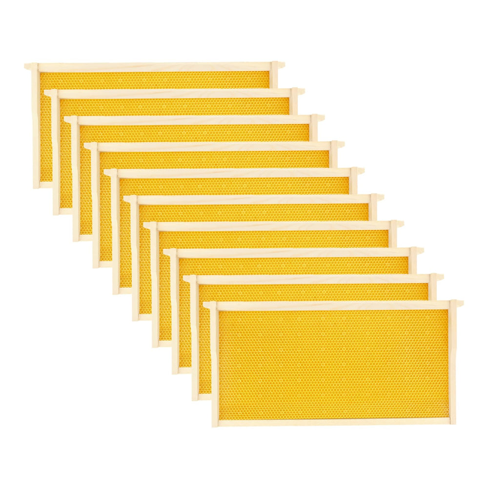 BEEKNOWS front packaging showing 10-frame kit and quick assembly benefit