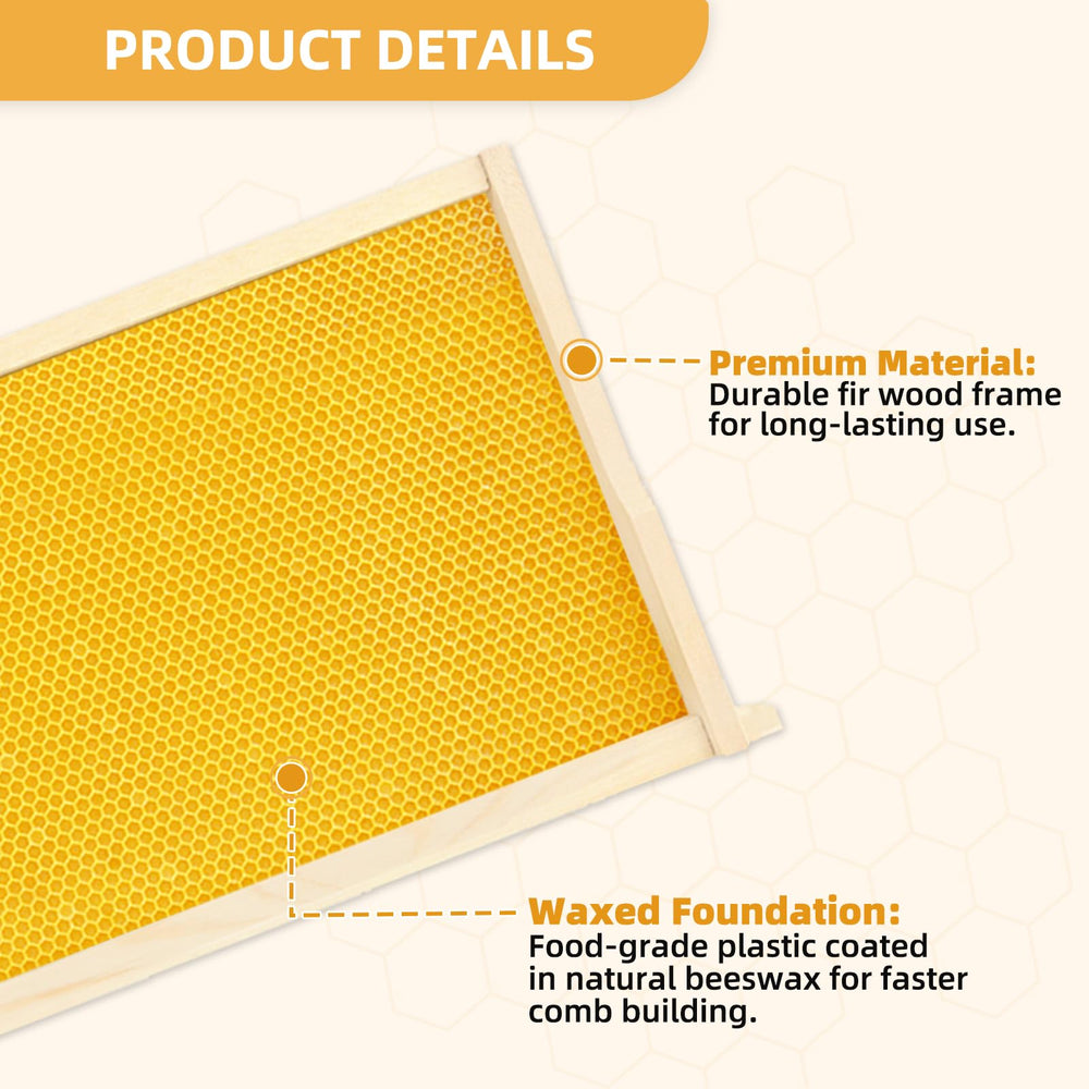 BEEKNOWS close-up of beeswax-coated foundation highlighting bee attraction