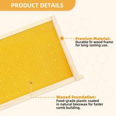BEEKNOWS close-up of beeswax-coated foundation highlighting bee attraction
