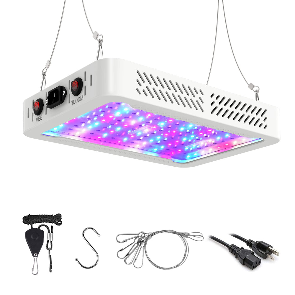 Beelux front panel view showing LEDs and even light distribution benefit
