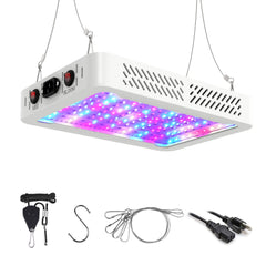 Beelux front panel view showing LEDs and even light distribution benefit