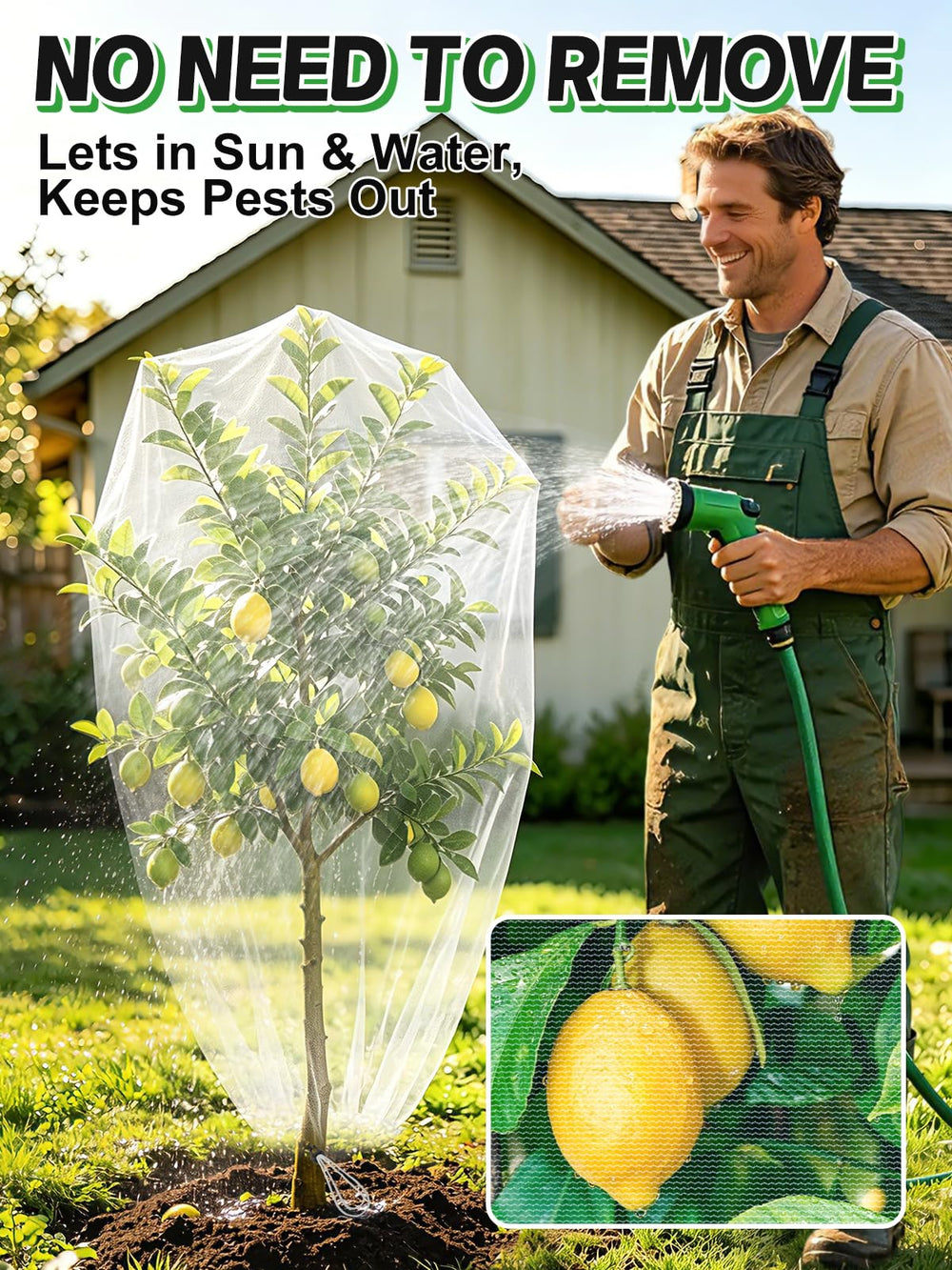 Beeplove net placed over blueberry bush protecting fruit while allowing light
