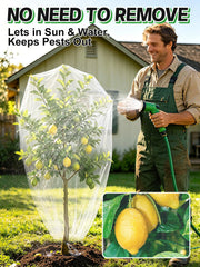 Beeplove net placed over blueberry bush protecting fruit while allowing light