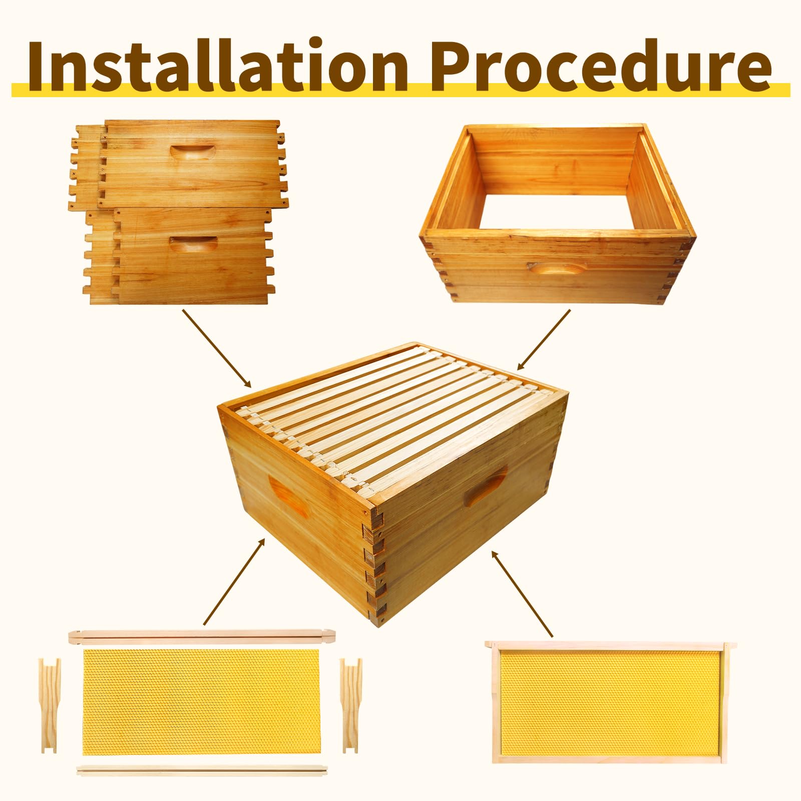 BeeQuestify assembled hive with lid on illustrating ready-to-use setup