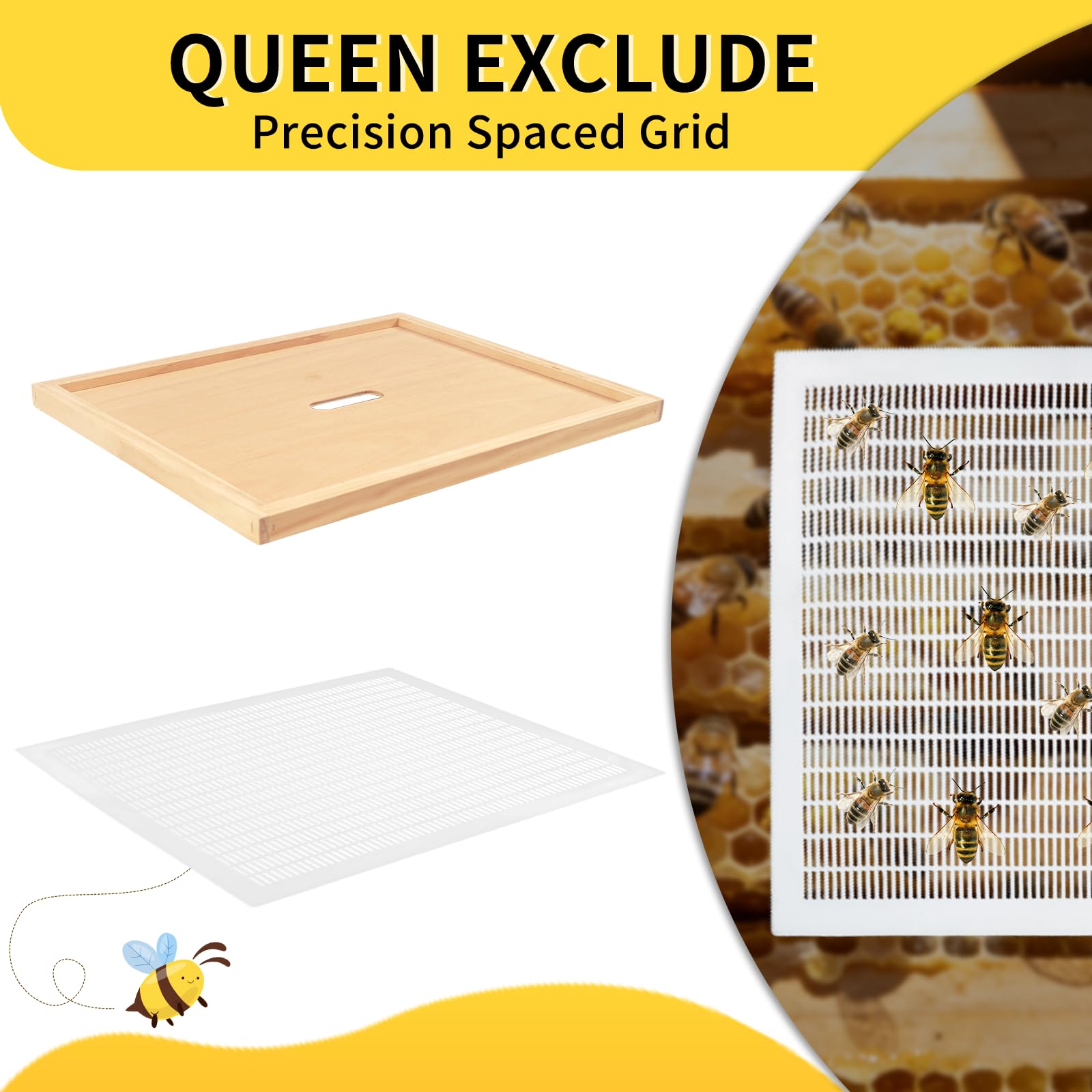 BeeQuestify assembled 10-frame hive outdoors illustrating durable, ready-to-use setup