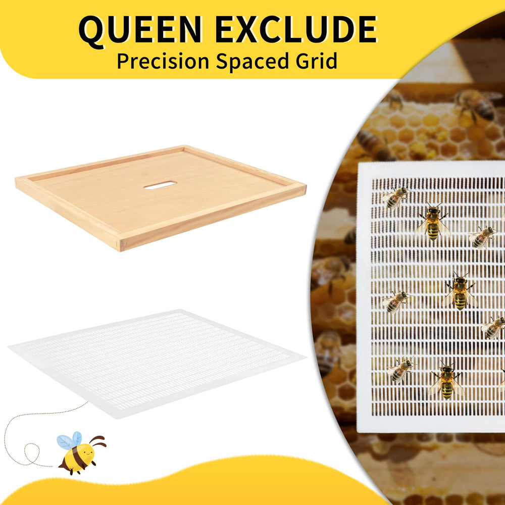 BeeQuestify assembled 10-frame hive outdoors illustrating durable, ready-to-use setup