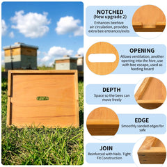 Close-up of BeeQuestify beeswax finish demonstrating moisture resistance and natural scent