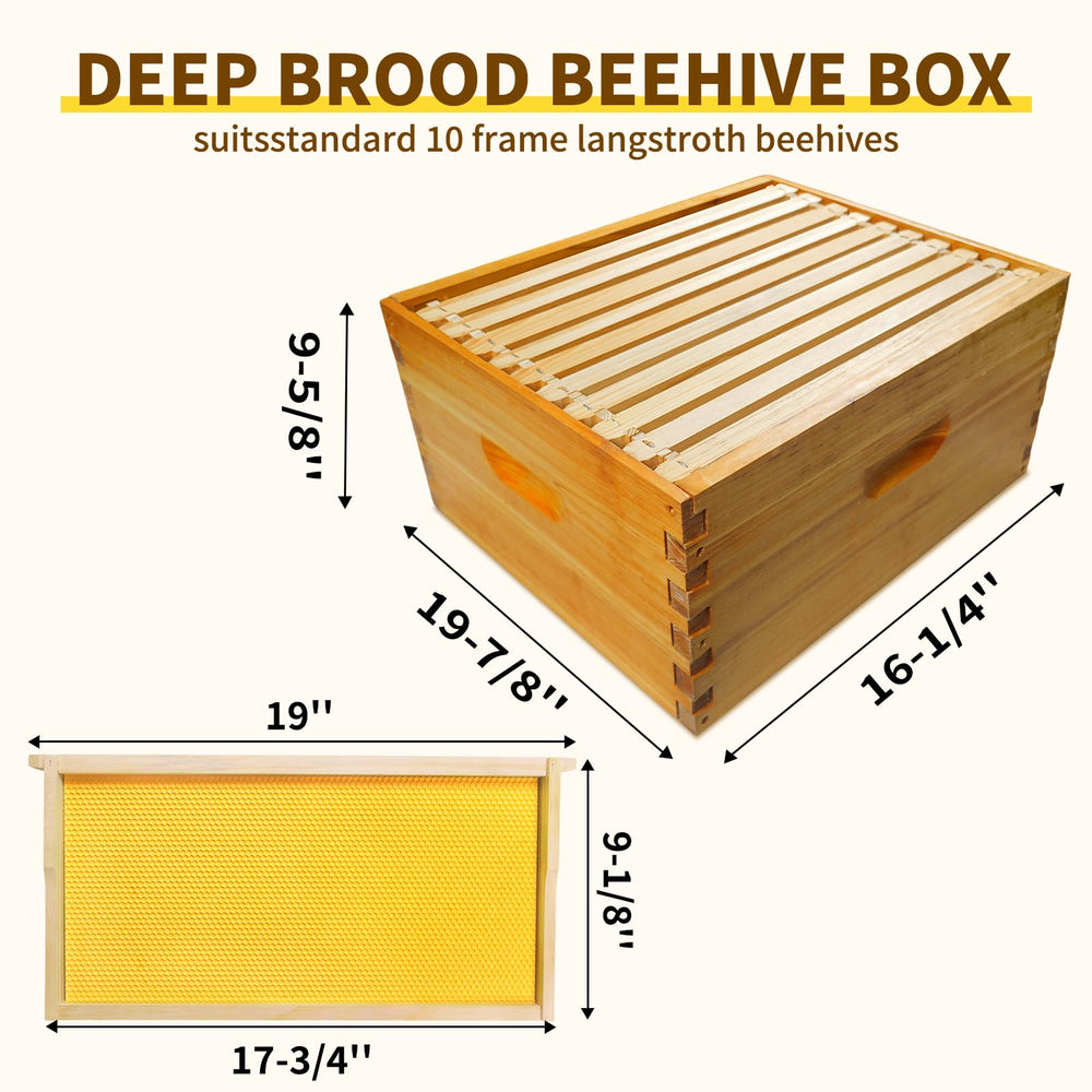 BeeQuestify close-up of thick beeswax coating protecting wood