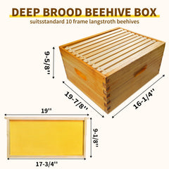 BeeQuestify close-up of thick beeswax coating protecting wood