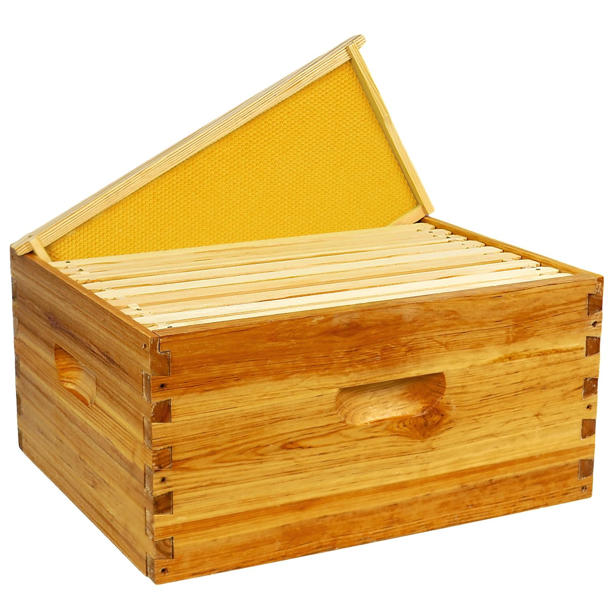 BeeQuestify front view deep brood box showing cedar and beeswax durability