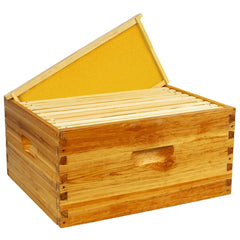 BeeQuestify front view deep brood box showing cedar and beeswax durability