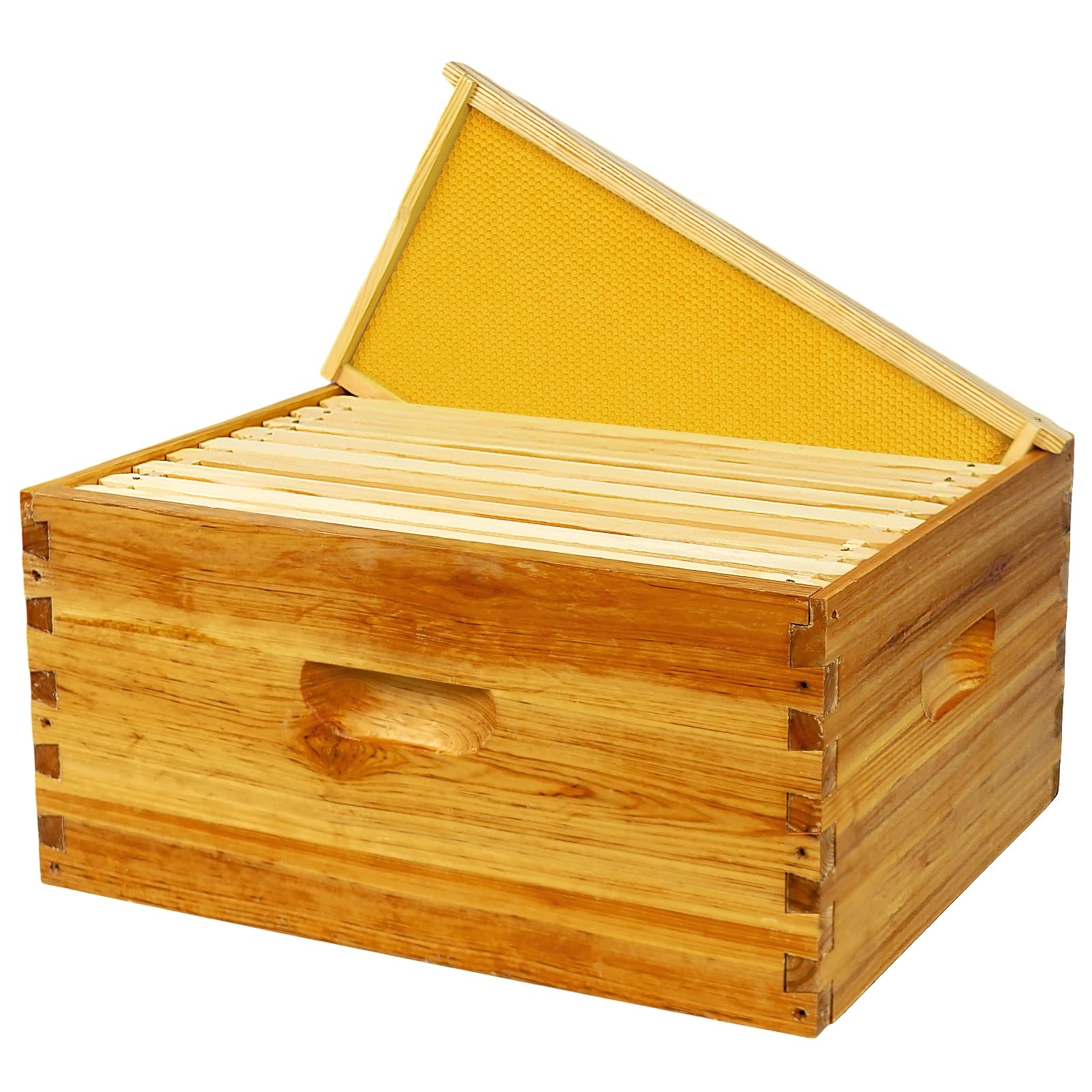 BeeQuestify brood box in an apiary setting illustrating practical use outdoors