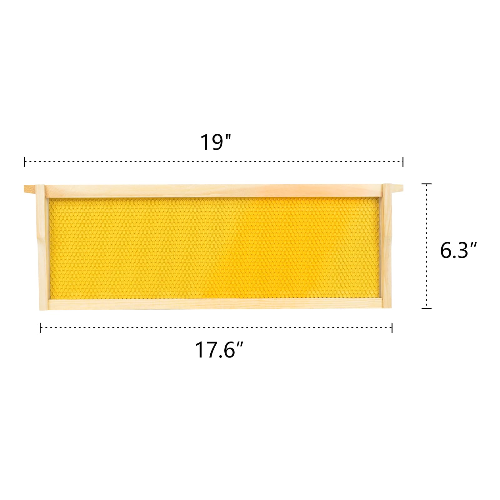 BeeTech frame held in hand for size comparison showing standard medium dimensions