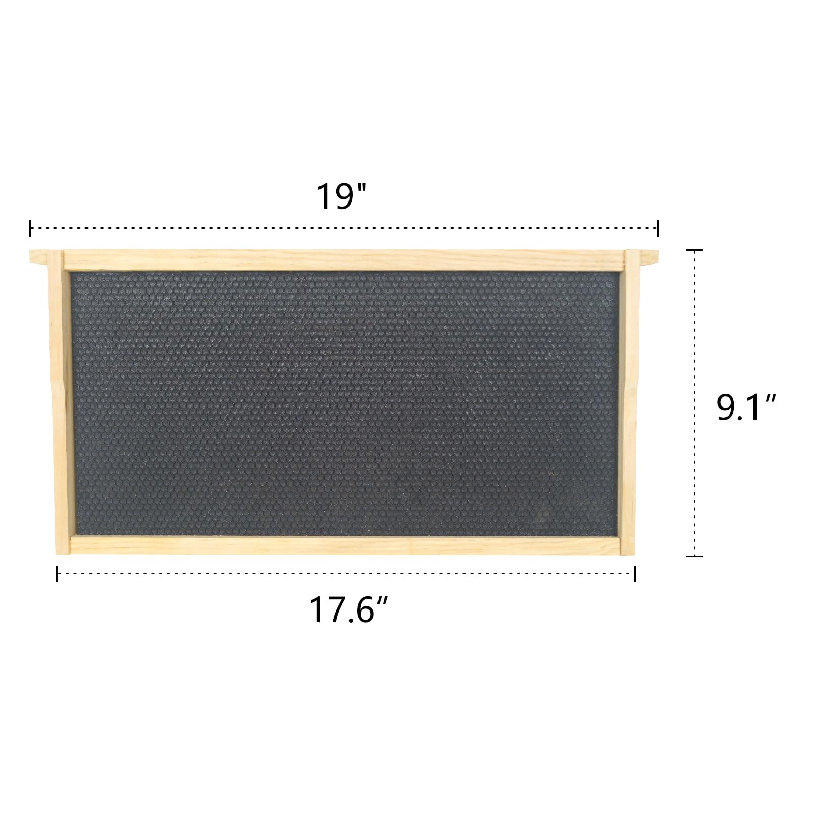 BeeTech frame beside ruler showing standard deep dimensions for accurate fit