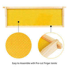 BeeTech beeswax-dipped plastic foundation detail showing wax coating to attract comb