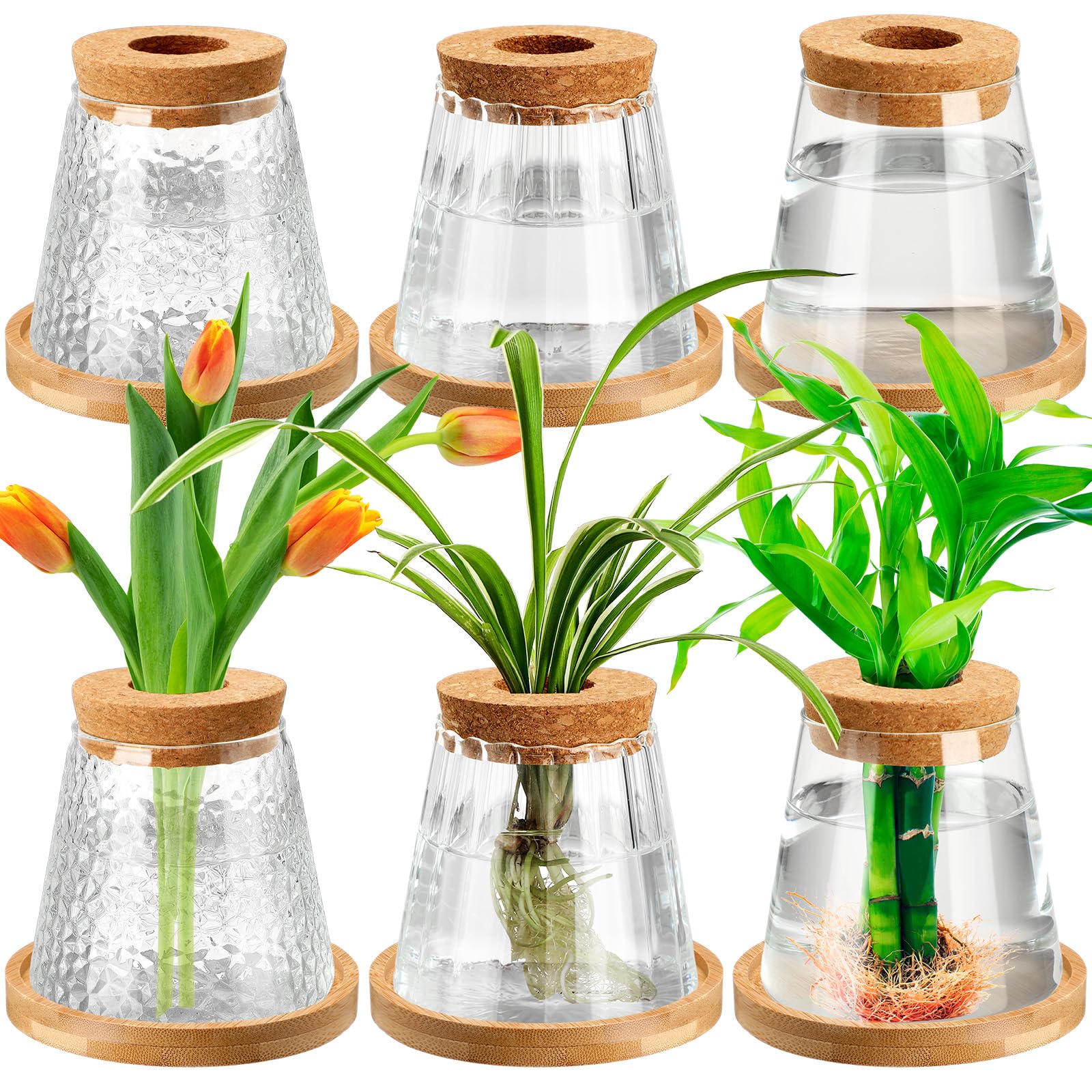 Beeveer front packaging display showing six glass propagation jars and wooden stands, stylish storage benefit