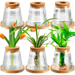 Beeveer front packaging display showing six glass propagation jars and wooden stands, stylish storage benefit