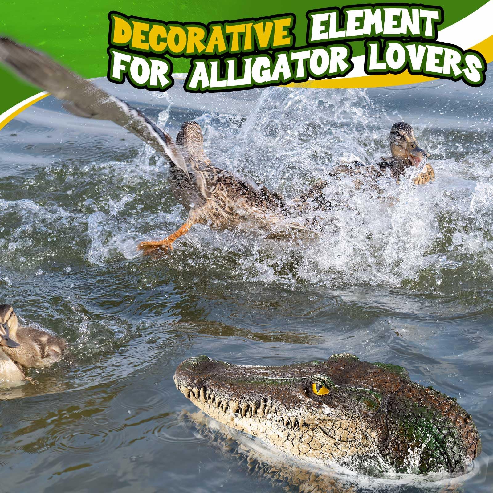 Beeveer alligator head near pond edge illustrating natural placement and visual threat