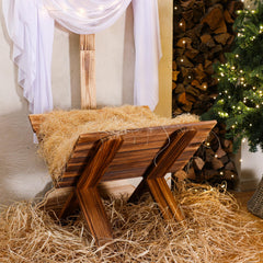 Beeveer manger beside books showing scale and space-saving display benefit