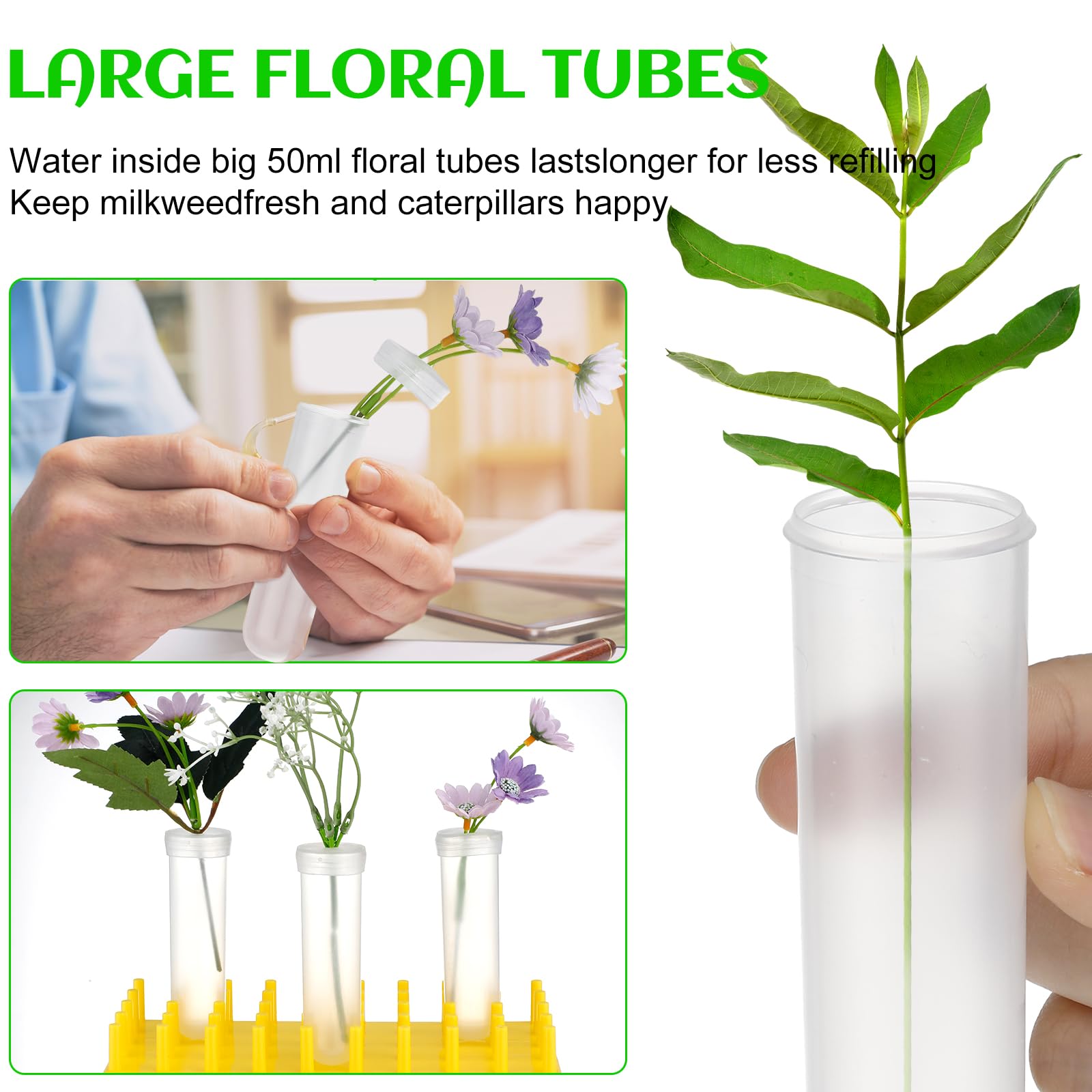 Beeveer tubes next to a ruler showing compact size and portability benefit