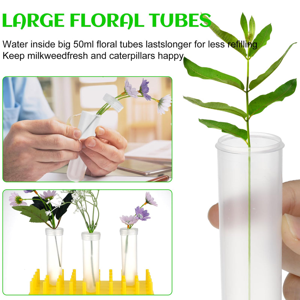 Beeveer tubes next to a ruler showing compact size and portability benefit