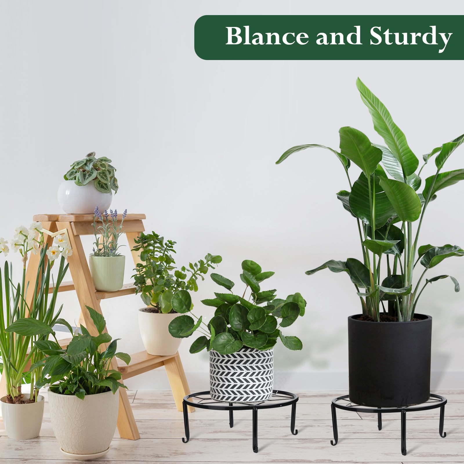 Beeveer stand holding a potted plant showing elevated presentation and airflow benefit