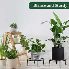 Beeveer stand holding a potted plant showing elevated presentation and airflow benefit