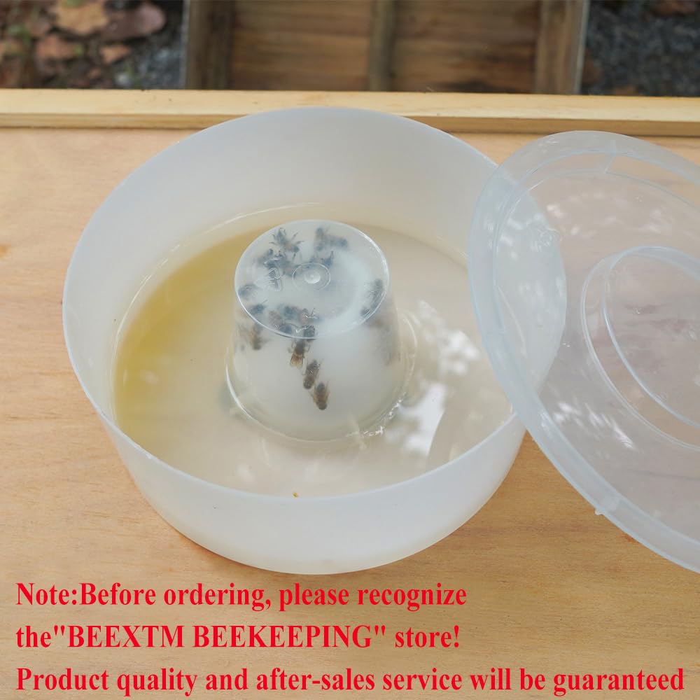 BEEXTM close-up of clear lid revealing syrup level for quick checks