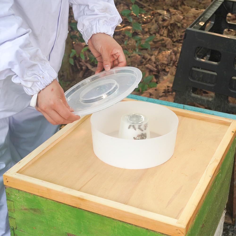 BEEXTM feeders in use on hive demonstrating low-disturbance feeding benefit