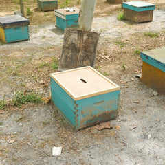 BEEXTM inner cover installed in a Langstroth hive improving ventilation