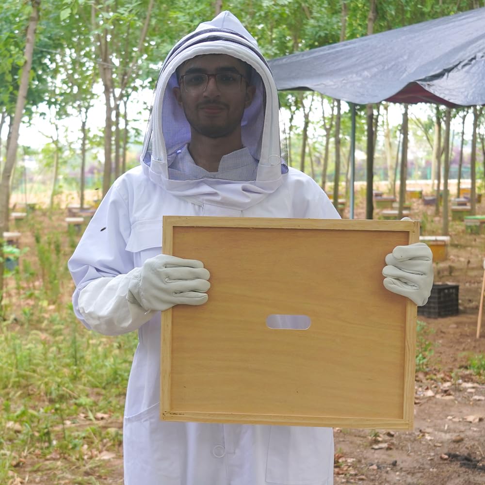 BEEXTM inner cover installed in 10-frame hive showing improved ventilation