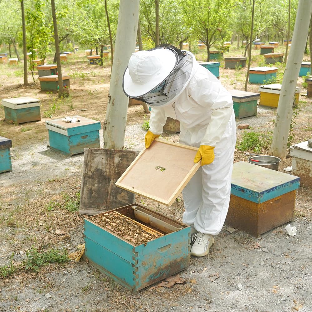 BEEXTM inner cover in backyard apiary setting showing practical use and ease of handling