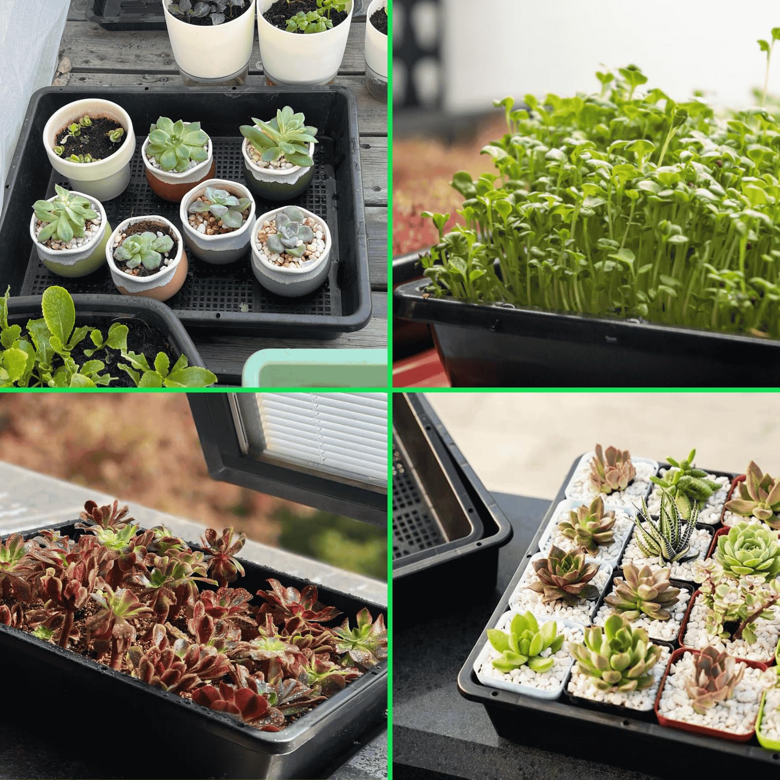 BeGrit tray held in hand to show scale and portability for small-space gardening and bench use