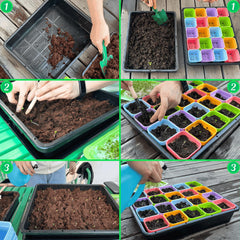 BeGrit tray filled with succulents illustrating safe transport and organized display for sale or gifting