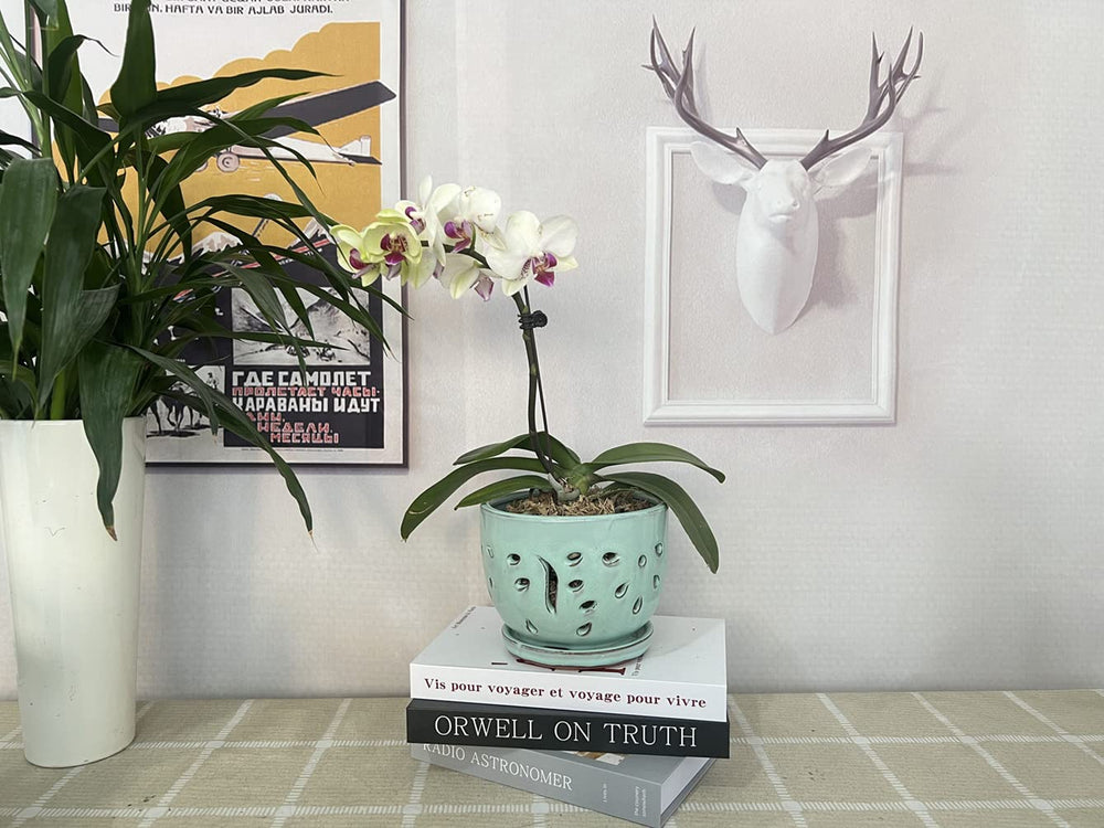 Beitewei styled on bedroom table adding soft color and modern decor charm