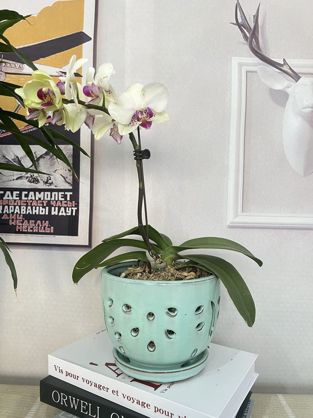 Beitewei packaged single ceramic planter ready for gifting and protection