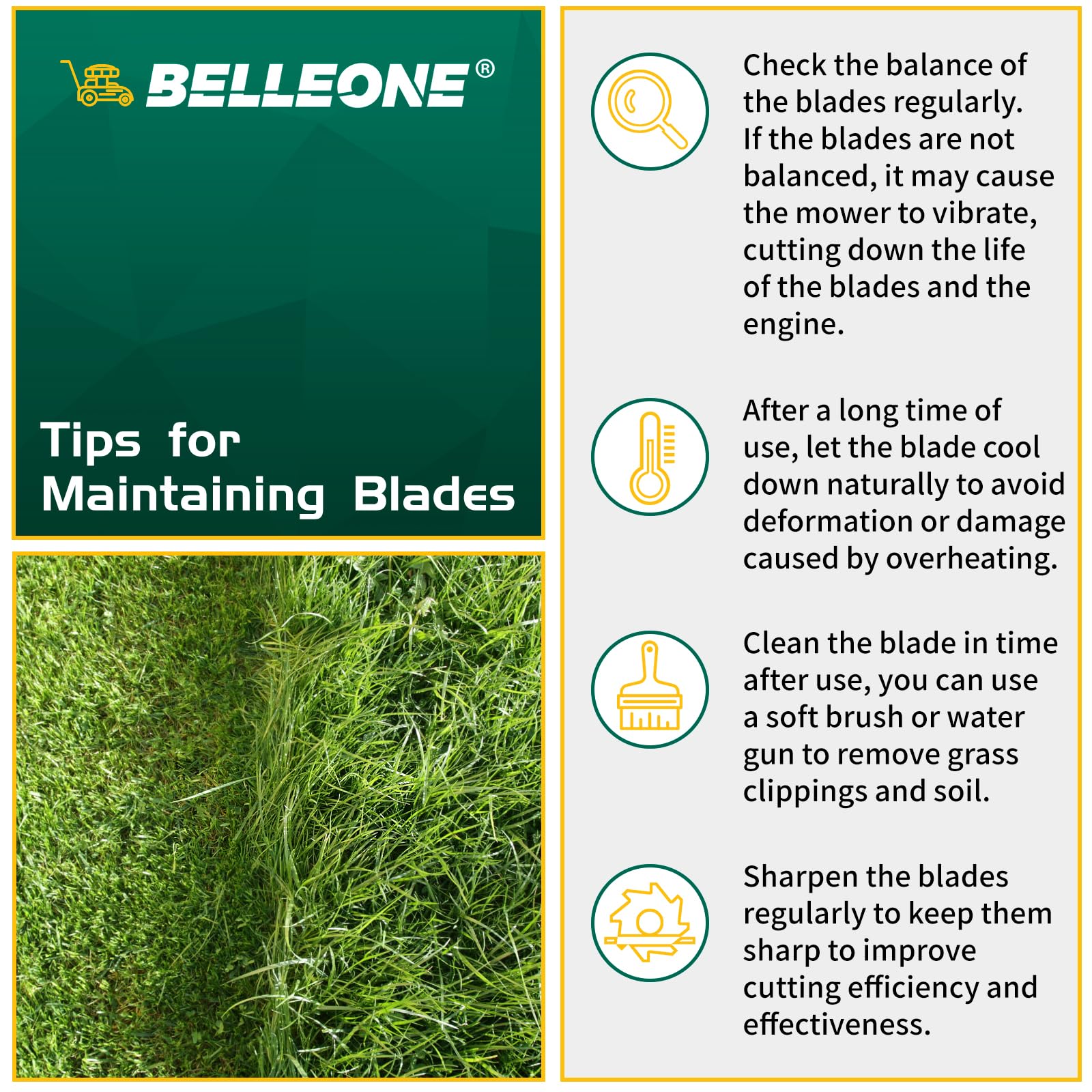 Belleone blade next to ruler showing 0.2 inch thickness for durability benefit