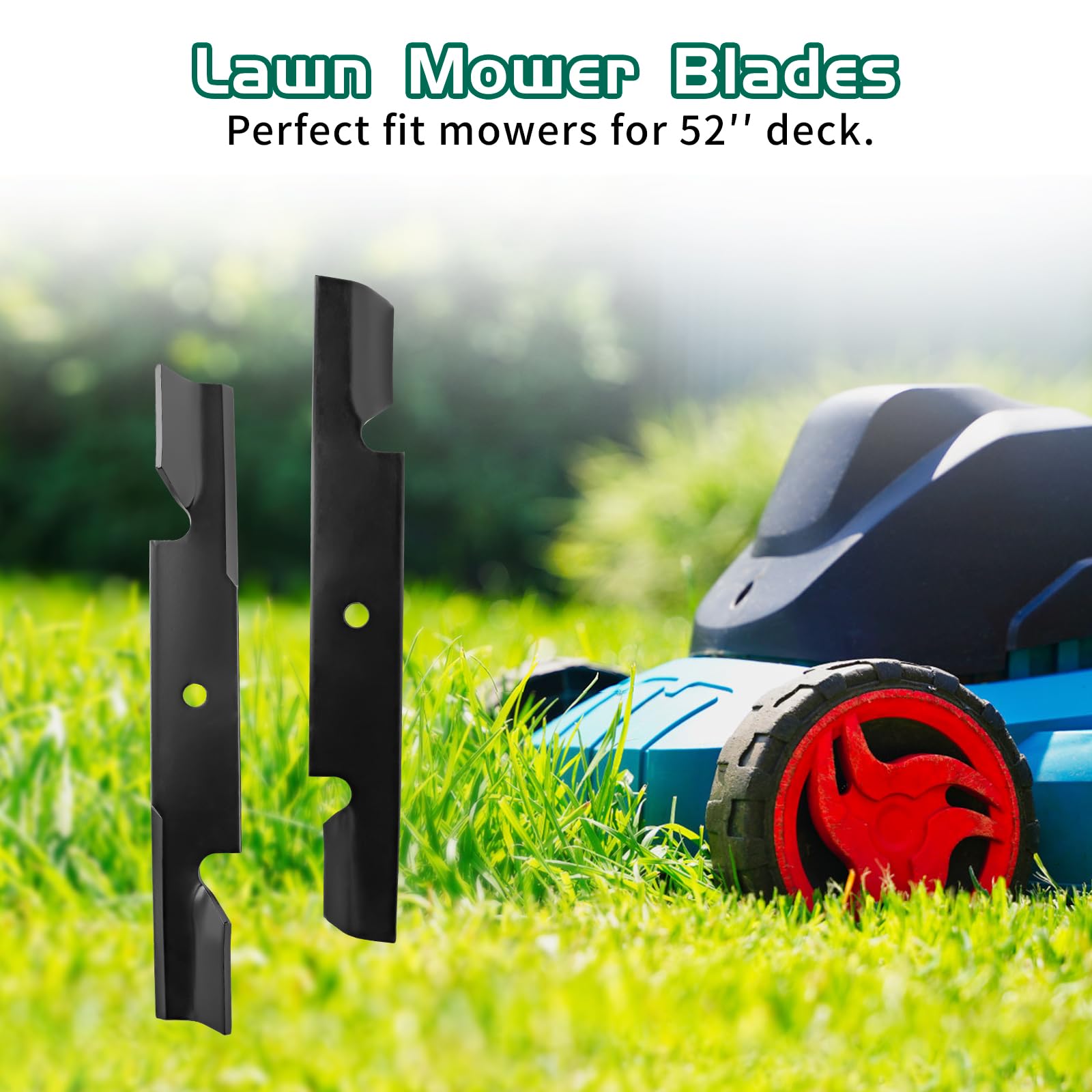 Belleone set of tools and blade showing safe installation and correct torque benefit