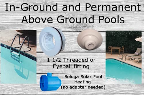 Beluga Pool Solutions 1652 next to a garden hose for scale illustrating compact, space-saving design benefit