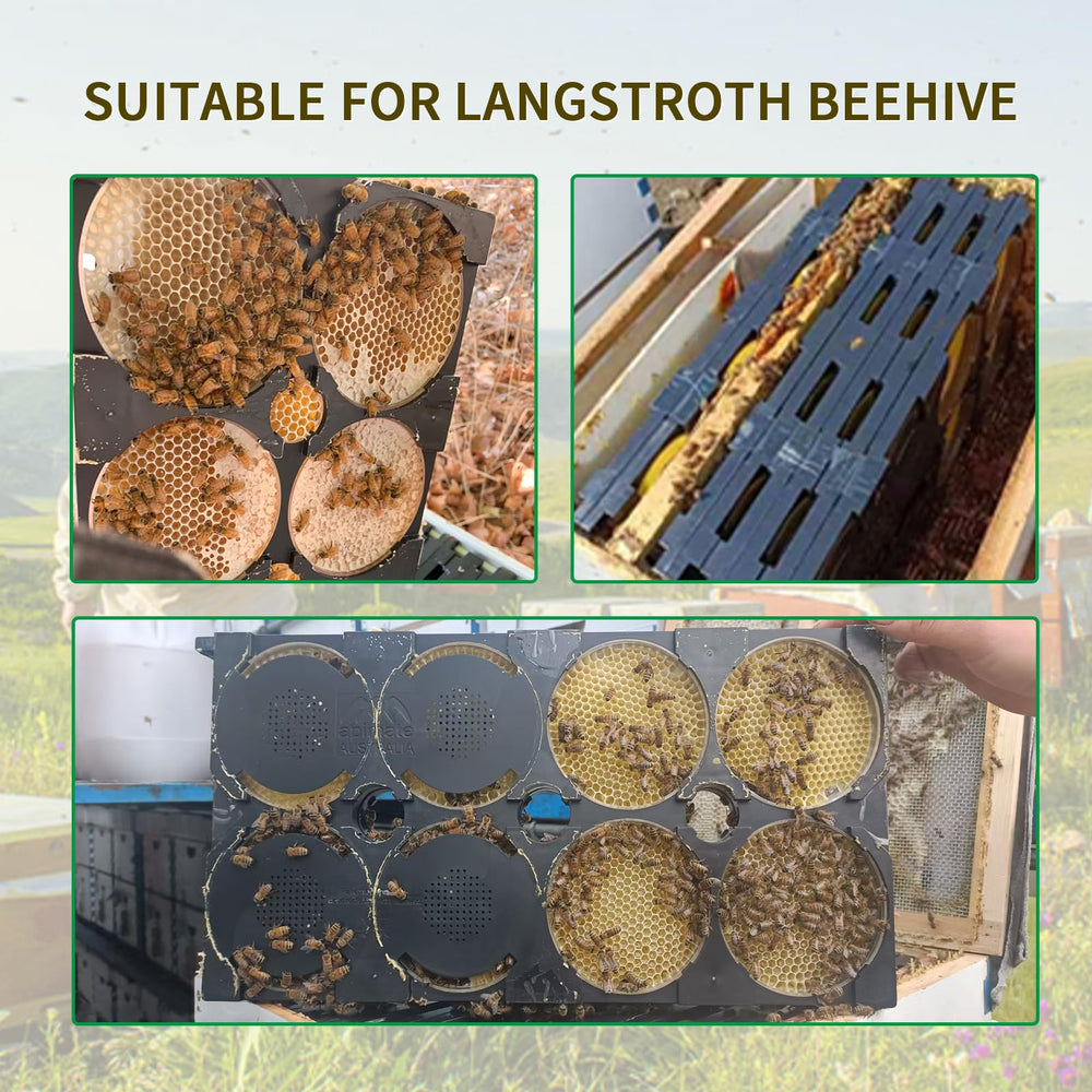 benefitbee frame installed inside Langstroth hive demonstrating simple integration