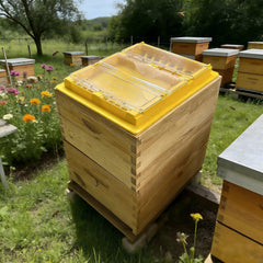 Benefitbee internal safety wall close-up preventing bee drowning and improving access benefit