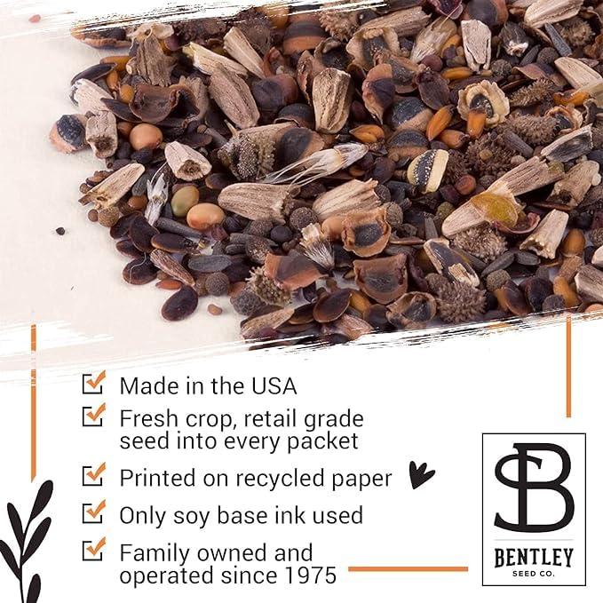Bentley Seed Co. seeds on soil ready to sow for easier garden establishment